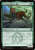 争い好きの野良犬、義丸/Yoshimaru, Scrappy Stray (FRA)