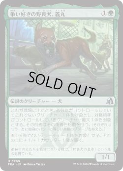 画像1: 争い好きの野良犬、義丸/Yoshimaru, Scrappy Stray (FRA)
