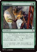 救う価値あり/Something Worth Saving (FRA)