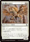 砕け翼のペガサス/Shatterwing Pegasus (FRA)