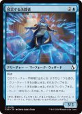 預言する決闘者/Divining Duelist (FRA)