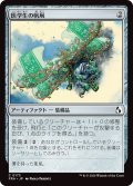 医学生の帆凧/Medic's Kitesail (FRA)