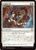 学術的上昇/Academic Ascent (FRA)
