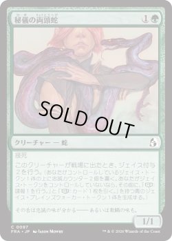 画像1: 秘儀の両頭蛇/Arcane Amphisbaena (FRA)