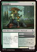 救急植療士/Emergency Phytomedic (FRA)