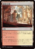 献身の広場/Dedicated Commons (FRA)