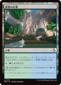 変容の広場/Transformative Commons (FRA)