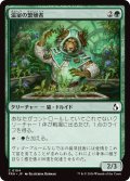 温室の繁殖者/Greenhouse Propagator (FRA)