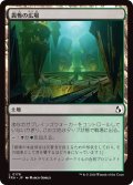畏怖の広場/Formidable Commons (FRA)