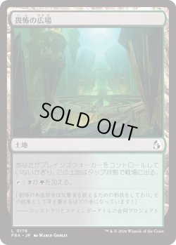 画像1: 畏怖の広場/Formidable Commons (FRA)