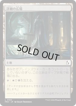画像1: 詳細の広場/Meticulous Commons (FRA)