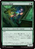 芽生えし反乱者/Budding Insurgent (FRA)