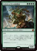 ヘクスヘイヴンの活性者/Hexhaven Invigorator (FRA)《Foil》