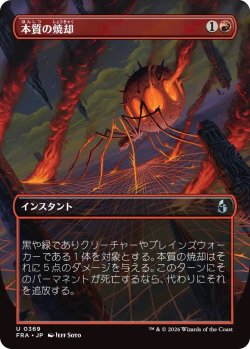 画像1: 本質の焼却/Essence Burn (FRA)【特殊アート版】