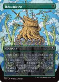 繁茂の組みつき/Flourishing Grapple (FRA)【特殊アート版】