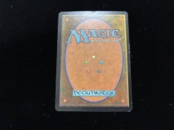 画像3: 渦まく知識/Brainstorm 【日本語・EX〜EX-】 (MMQ)《Foil》【AUTUMN SALE】
