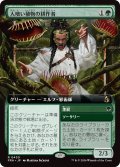 人喰い植物の耕作者/Carnivorous Cultivator (FRA)【拡張アート版】《Foil》