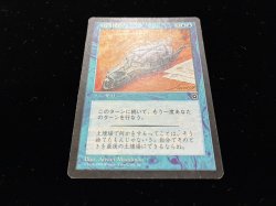 画像2: 時間操作/Temporal Manipulation (PO2)【AUTUMN SALE】