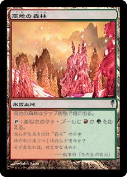 画像1: 高地の森林/Highland Weald (CSP)《Foil》