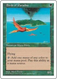 極楽鳥/Birds of Paradise (5ED)