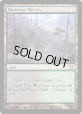 ラノワールの荒原/Llanowar Wastes (10E)