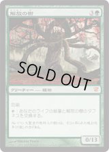 解放の樹/Tree of Redemption (ISD)