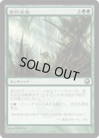 苦行主義/Asceticism (SOM)