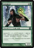 生命鍛冶/Lifesmith (SOM)