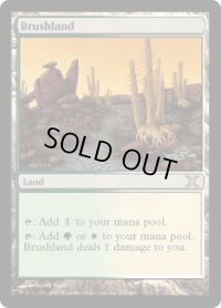 低木林地/Brushland (10E)