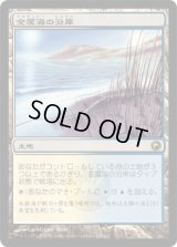 金属海の沿岸/Seachrome Coast (SOM)