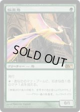 極楽鳥/Birds of Paradise (M11)