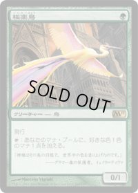 極楽鳥/Birds of Paradise (M11)