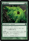 猪の陰影/Boar Umbra (ROE)