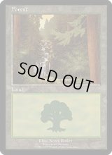 森/Forest (Euro Land 青)