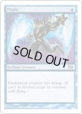 飛行/Flight (8ED)《Foil》