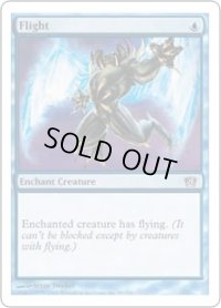 飛行/Flight (8ED)《Foil》