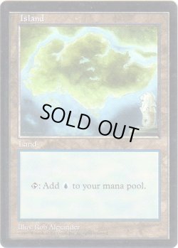 画像1: 島/Island (APAC Land 透明)