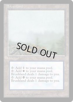 画像1: 低木林地/Brushland (ICE)