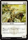 天望の騎士/Knight of the Skyward Eye (A25)《Foil》