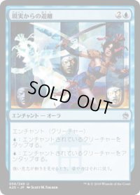 現実からの遊離/Freed from the Real (A25)