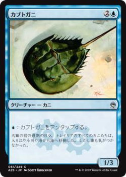 画像1: カブトガニ/Horseshoe Crab (A25)《Foil》