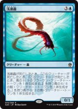 浅瀬蟲/Reef Worm (A25)