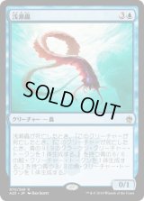 浅瀬蟲/Reef Worm (A25)《Foil》