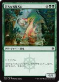 巨大な戦慄大口/Colossal Dreadmaw (A25)《Foil》