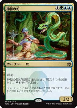 画像1: 神秘の蛇/Mystic Snake (A25)