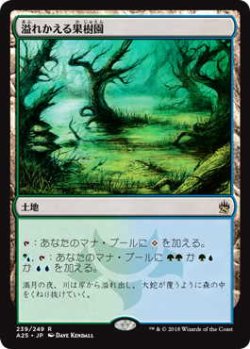 画像1: 溢れかえる果樹園/Flooded Grove (A25)《Foil》