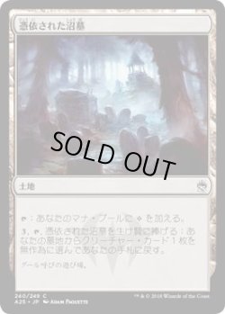 画像1: 憑依された沼墓/Haunted Fengraf (A25)《Foil》