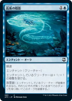 画像1: 長魚の陰影/Eel Umbra (AFC)