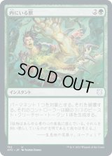 内にいる獣/Beast Within (AFC)