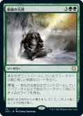 巫師の天啓/Shamanic Revelation (AFC)